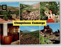 Sucre Foto AK Wein Chuquisaca Camargo
