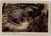 28857 W2808 Syke Gebrauchsspuren Wolfsschlucht im Friedholz Loch
