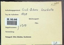 27472 W2190 Duhnen FOTO KEINE AK Foto montiert auf Karton Lesehalle Fotograf Otto Schulze