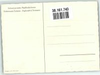 Löwenzahn Schweizer Pfadfinderinnen Brügger AG Pfadfinder Künstlerkarte