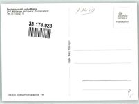 W7440 Nürtingen Pekinensenzucht in der Braike Pekinese Foto AK