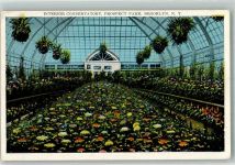 New York City Prospect Park Wintergarten Brooklyn Gartenbau