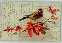 Vogel auf einem Blütenzweig Künstlerkarte Stieglitz 1904 Gebrauchsspuren