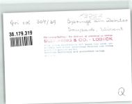 W3257 Springe , Deister Wisentgehege Saupark Ort handschriftlich Büffel FOTO KEINE AK