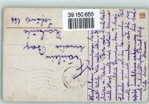 W7900 Ulm , Donau Ulmer Spatz AK Tiergespann 1915
