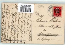 87645 W8959 Schwangau 1919 - Alpsee mit Kgl. Scholss Hohenschwangau und Neuschwanstein u. Hotel Alpenrose Schwäne