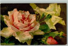 Nr. 525 Rosen Pastell Druck AK Wenau Künstlerkarte