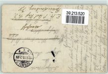 10115 W1000 Spandau 1915 - Ort lt. Stempel Hühner Stall Schweine