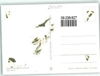 08499 O9803 Mylau