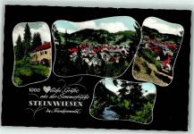 96349 W8645 Steinwiesen
