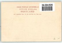 Elefanten Volkstypen / Brauchtum Sri Lanka / Ceylon