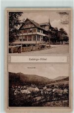 06507 O4301 Stecklenberg Gebrauchsspuren Gebirgs Hotel
