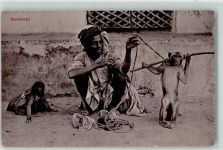 Affentrainer Indien Affe