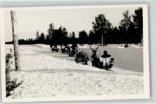 Valok Foto AK Winter Schnee Schlitten Rentier
