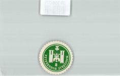 Hohensalza Inowroclaw Siegelmarke Magistrat Hohensalza