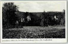 75385 W7264 Zavelstein