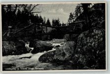 08543 O9903 Jocketa - Loreleysteg im Triebtal Vogtl. Schweiz
