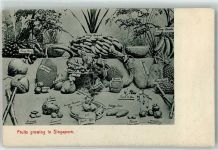 Singapore - Früchte des Landes