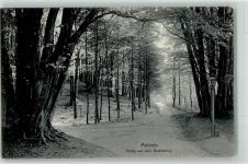 23714 W2427 Malente - Brahmberg Waldweg
