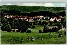 37445 W3425 Walkenried - Rinderweide
