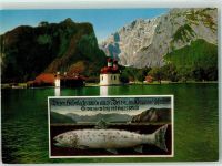 83471 W8240 St. Bartholomä - Kirche Königssee