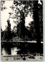 94300 Vincennes - Lac de St. Mande Schwan Hund