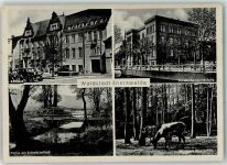16225 O1300 Eberswalde - Wildpark Wasserfall Hirsch Rathaus Forstliche Hochschule