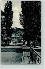99830 O5908 Treffurt - Flutbrücke mit Burg Normannstein