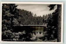 76596 W7564 Herrenwies , Baden Foto AK Herrenwieser See