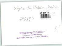 6300 Wörgl FOTO KEINE AK Rohabzug Ort handschriftlich