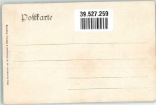 Möwennest Küken Möwe