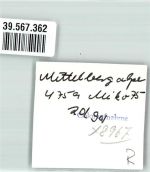 87466 W8967 Mittelberg b Oy FOTO KEINE AK Ort handschriftlich