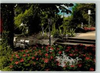 53604 W5340 Bad Honnef - Kurpak