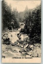 76596 W7564 Raumünzach 1904 - Fallbrücke