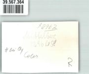 87466 W8967 Mittelberg b Oy FOTO KEINE AK Ort handschriftlich