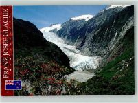 Foto AK Franz Josef Glacier Schnee Blumen Westland