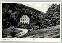 32756 W4930 Berlebeck Foto AK Hangstein Luftkurort