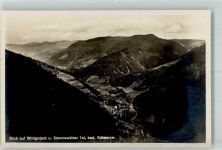 79263 W7809 Wildgutach Foto AK und Simonswälder Tal