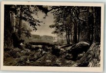 W1000 Berlin Mitte An der Suhle Zoologisches Museum Wildschwein