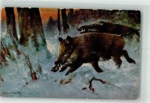Verlag Peluba Nr.265 Wildschwein Künstlerkarte
