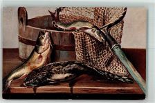 Stilleben Fische T.S.N. Serie 469 Schönian, A. 1905 Künstlerkarte
