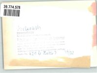 77781 W7616 Biberach , Baden FOTO KEINE AK Ort handschriftlich Foto Original aus Archiv eines Ansichtskartenverlags