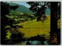 72275 W7297 Ehlenbogen Foto AK Sanatorium Grezenbühl
