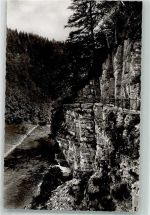 79879 W7821 Wutach Foto AK Wutachschlucht Felsengalerie