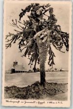 01773 O8231 Zinnwald-Georgenfeld Foto AK Winter