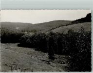 51545 W5220 Waldbröl FOTO KEINE AK Neubröhl Kühe Ort handschriftlich
