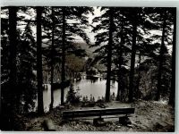 77889 W7596 Seebach , Baden Foto AK Hotel Mummelsee