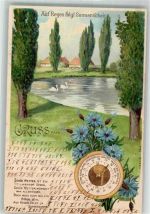 Hydrometer Kornblume Spruch Gruss aus Schwan 1902 Lithographie