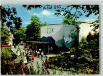 W6000 Frankfurt am Main Exatarium Pinguine Zoo Foto AK
