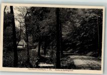 99897 O5809 Tambach-Dietharz , Thüringer Wald 1931 Foto AK Splittergrund